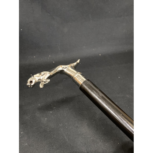 479 - Jaguar handled walking stick