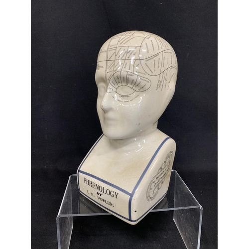 480 - Phrenology Head, height 30cms