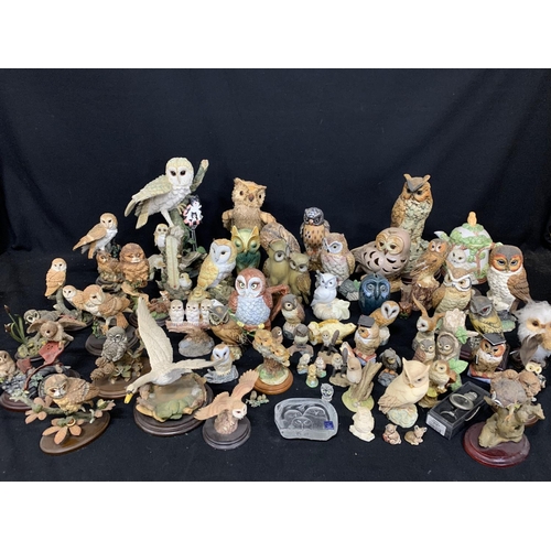 507 - Large collection of 72 owl figures, including 10 Country Artists (2)