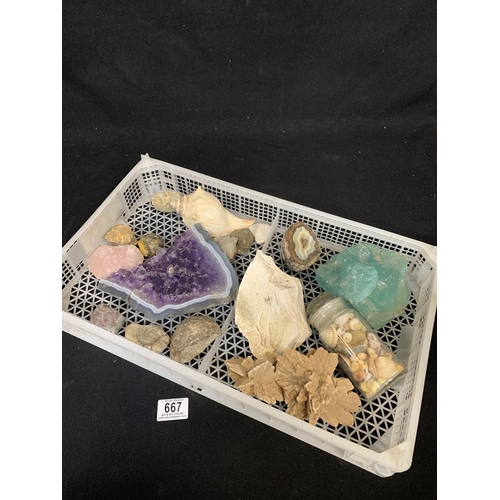 667 - Tray of specimen stones