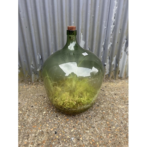 158 - A large green glass carboy, with plant