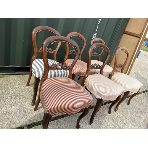 328 - A set of six Victorian mahogany balloon back dining chairs with striped upholstery