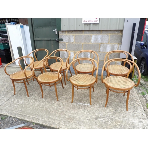 61 - A set of 8 bentwood carver chairs with begere seats