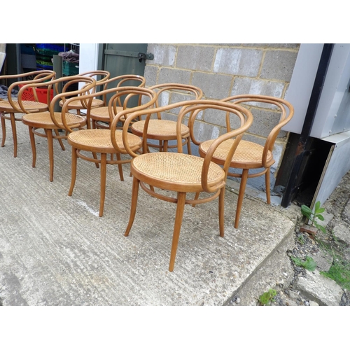 61 - A set of 8 bentwood carver chairs with begere seats