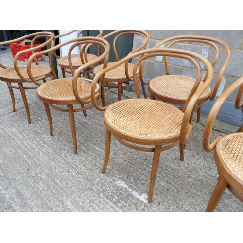 61 - A set of 8 bentwood carver chairs with begere seats