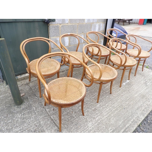 61 - A set of 8 bentwood carver chairs with begere seats