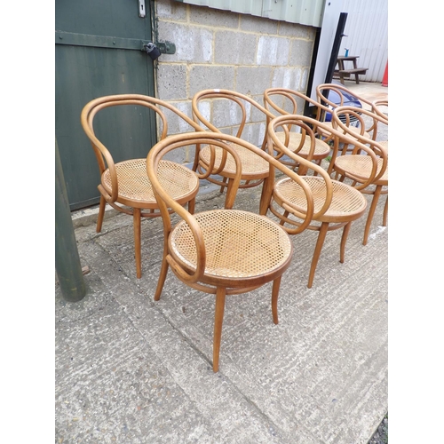 61 - A set of 8 bentwood carver chairs with begere seats