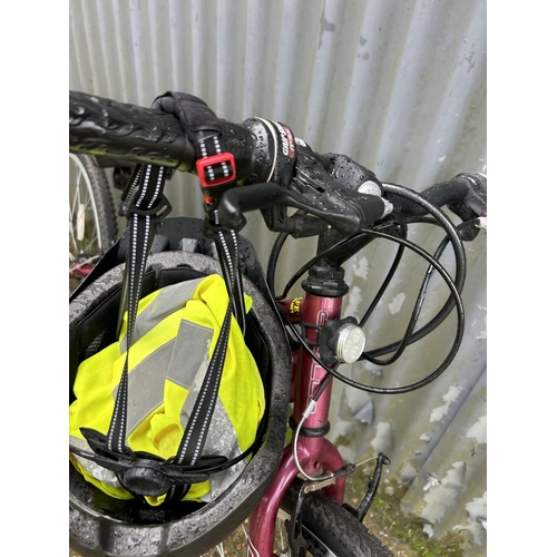 173 - An Apollo mountain cycle, recently fully serviced, with new cables & chain,  lights & horn, lock, hi... 