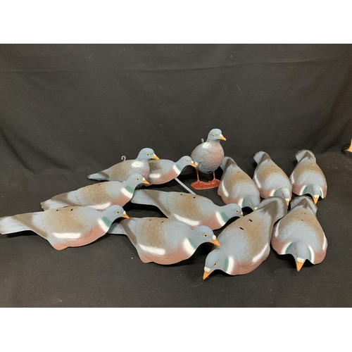 688 - 12 Decoy Pigeons