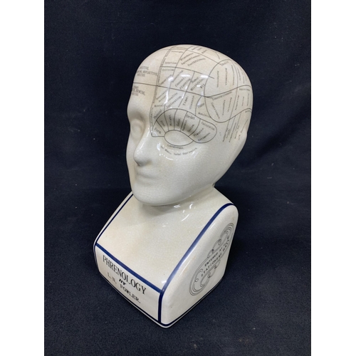 580 - Phrenology head, height 30cms