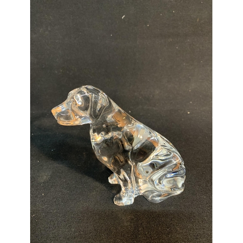 653 - Waterford Crystal Labrador Retriever figure, height 11 cms, boxed