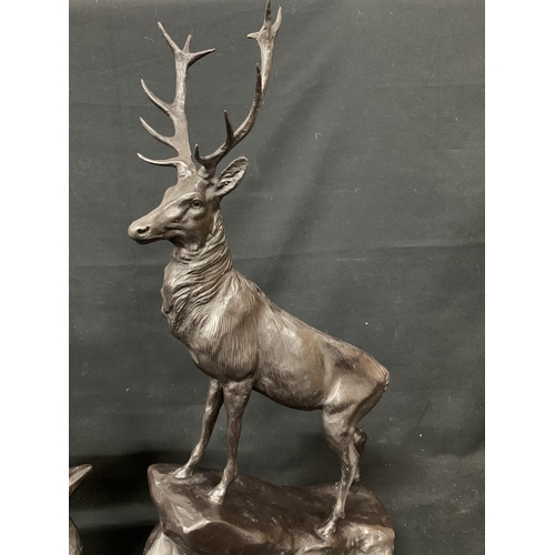 681 - Pair of Heavy Bronze Stags on marble bases with signature, height 77 cms