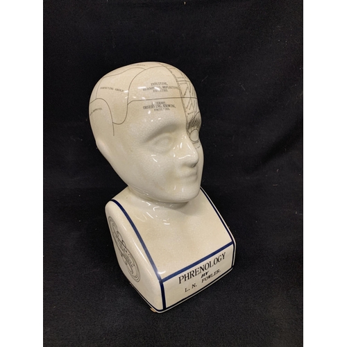 1037 - Phrenology head, height 30cms