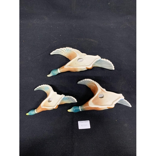 1021 - Three unmarked Flying Ducks, largest 27 cms long