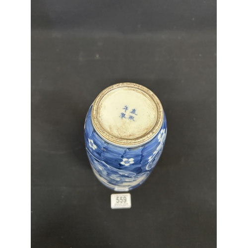 559 - Oriental blue and white Dog of Foe vase, height 26cms