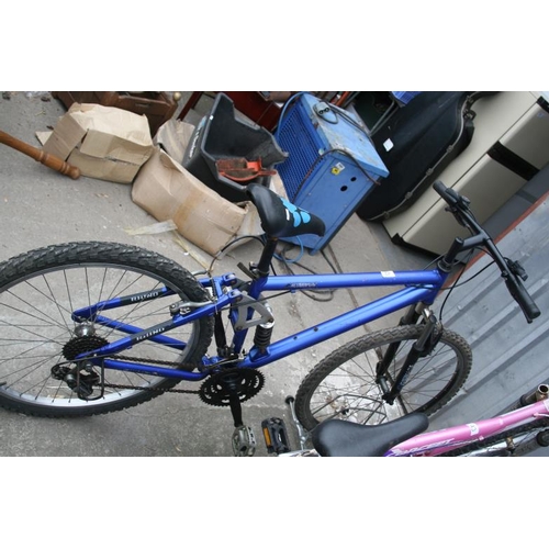 42 - BLUE MOUNTAIN BIKE