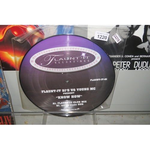 1220 - FLAUNT-IT RECORDINGS PICTURE DISK VINYL