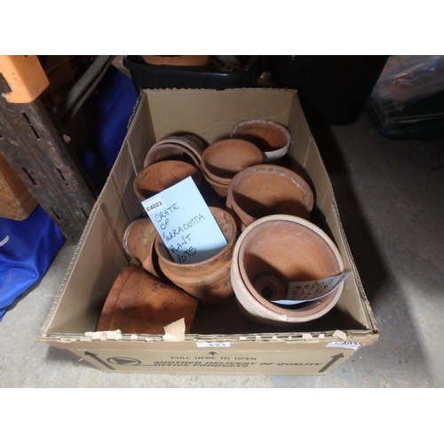 441 - BOX OF TERRACOTTA POTS