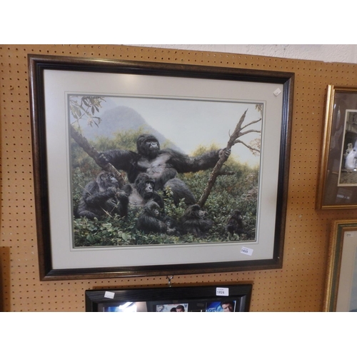 1025 - FRAMED PRINT - GORILLAS BY UNKNOWN ARTIST