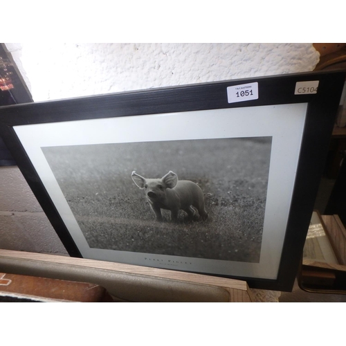 1051 - FRAMED PRINT - PERRY THE PIGLET BY DAVID MACHENREY