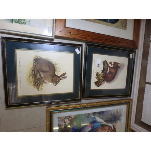 1966 - PAIR OF FRAMED ZOOLOGICAL SKETCHES - BROWN HARE AND RED SQUIRREL