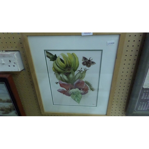 2028 - ORIGINAL BOTANICAL WATERCOLOUR BY A. FRY