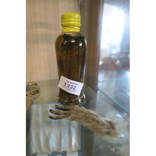 1332 - PRESERVED MONKEY PAW AND A SNAKE