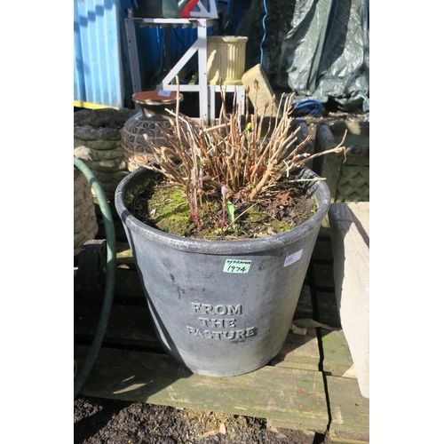 105 - LARGE PLANT POT WITH HYDRANGEA