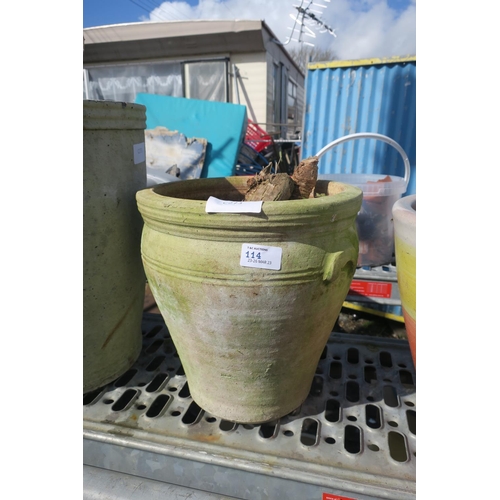 114 - TERRACOTTA PLANT POT WITH VEGETATION