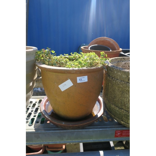 63 - TERRACOTTA POT AND SAUCER WITH VEGETATION