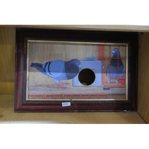 1279 - FRAMED PIGEON PICTURE - CLOCK STILL FLYING!