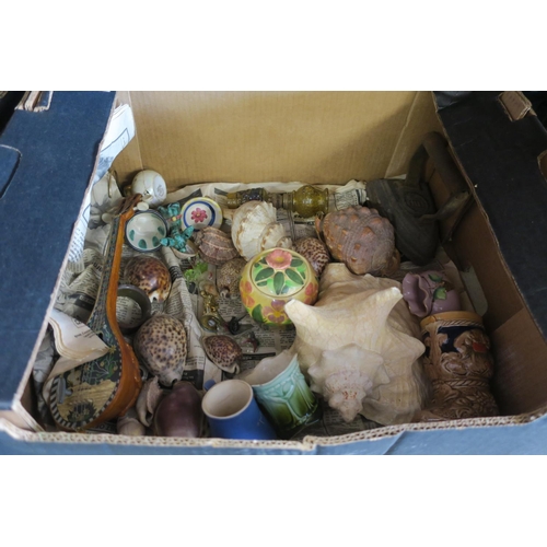 1391 - BOX OF SHELLS AND VINTAGE COLLECTABLES