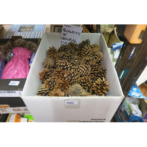 808 - BOX OF NATURAL FIR CONES