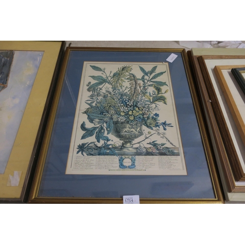 1714 - FRAMED JANUARY BOTANICAL PRINT