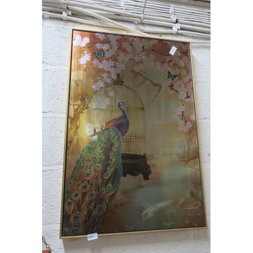 1620 - LARGE METALLIC FRAMED PRINT - PEACOCK