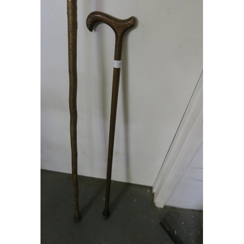 1436 - BUNDLE OF WALKING STICKS