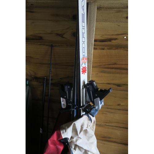 497 - SKIS IN BAG