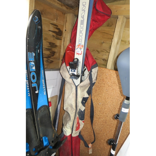 289 - PAIR OF DREAM SKIIS IN BAG