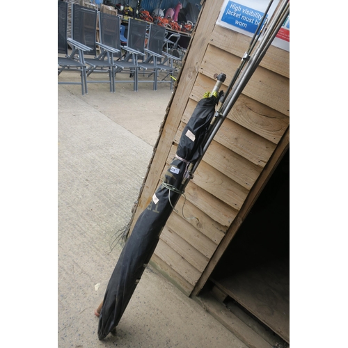 Lot 255       