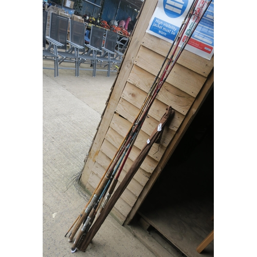 Lot 257       