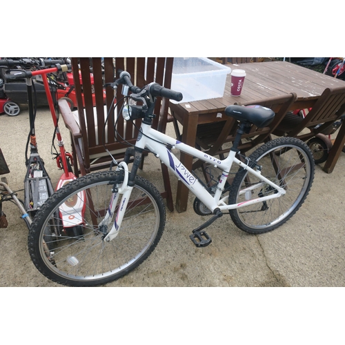 15 - APOLLO JEWEL MOUNTAIN BIKE