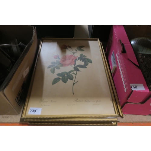 749 - SELECTION OF FRAMED VINTAGE BOTANICAL PRINTS