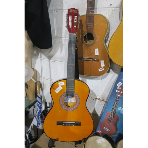 1485 - CW MAD ABOUT ACOUSTIC GUITAR