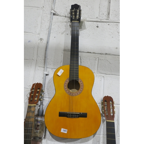 1491 - ACOUSTIC GUITAR