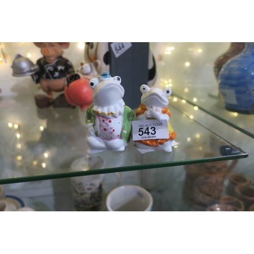 543 - CERAMIC FROG CRUET SET