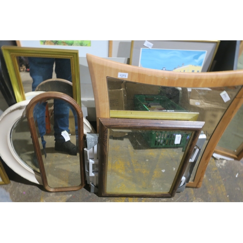 1373 - SELECTION OF MIRRORS