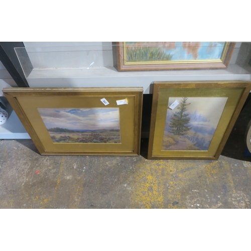 841 - 2 FRAMED PICTURES