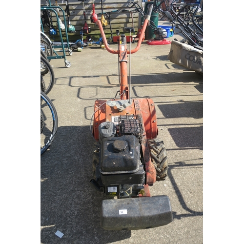 Lot 38        