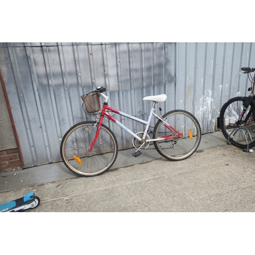 Lot 4         