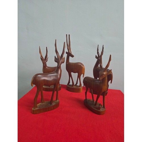 Lot 1         